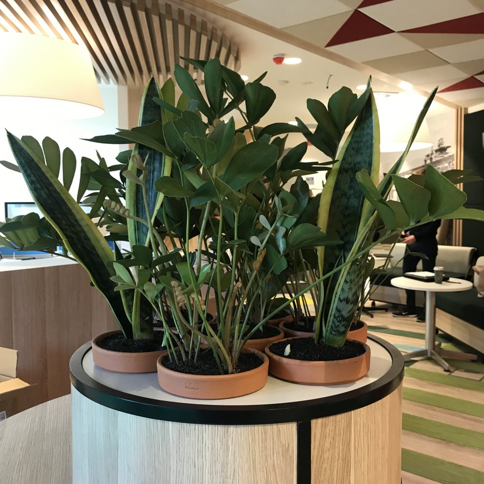 New Flagship Branch for Bank of Heritage Isle