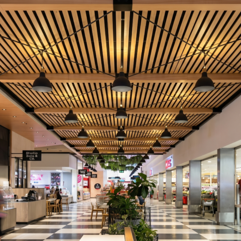 Timber batten ceiling, linear pendant lighting, checkered terrazzo floor, open shopfront thresholds, fresh food precinct layout, commercial mall corridor, public seating nodes.