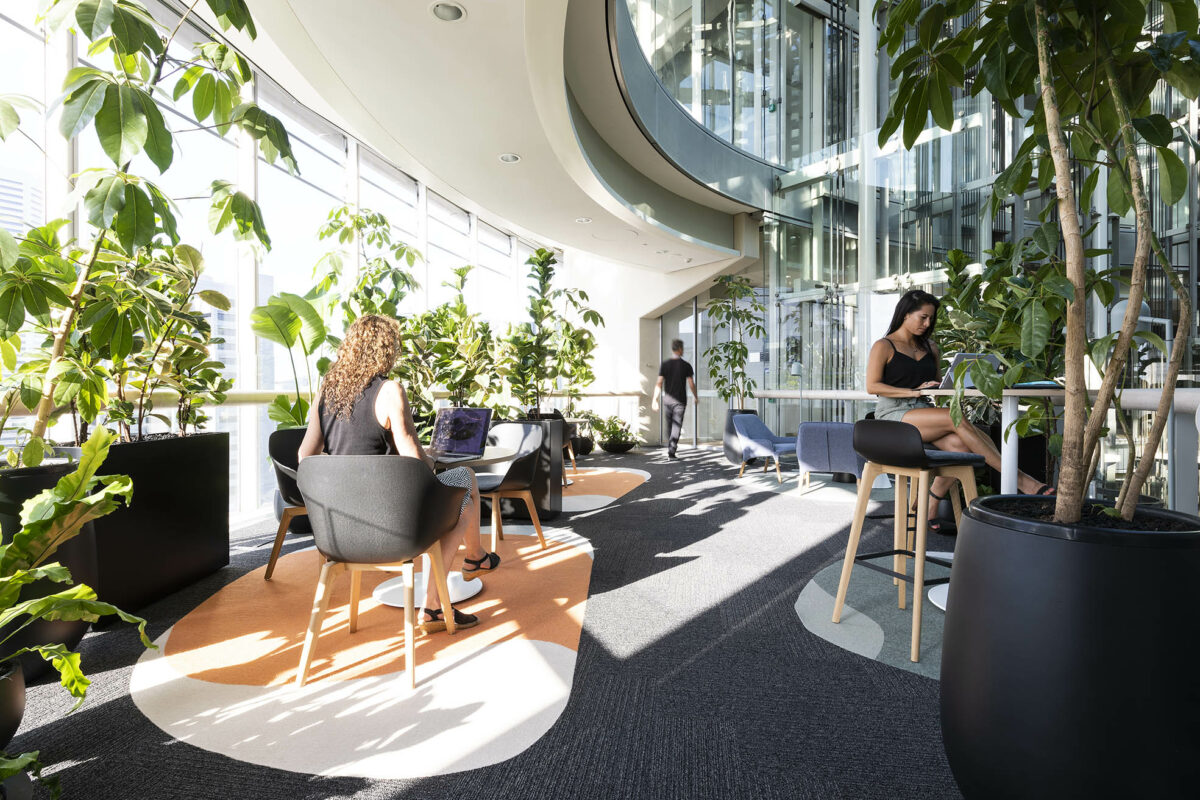 Sunlight filters through layered planting and soft fabrics. Diverse seating invites employees to shift between focused work, casual lounge moments or spontaneous collaboration in a warm, textured environment.