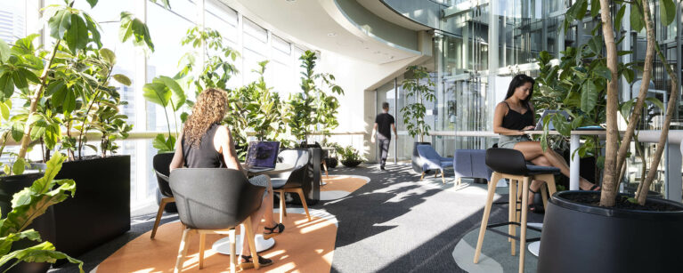 Sunlight filters through layered planting and soft fabrics. Diverse seating invites employees to shift between focused work, casual lounge moments or spontaneous collaboration in a warm, textured environment.