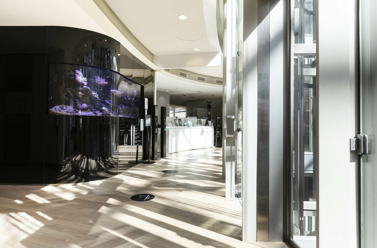 A curved wall incorporates a built-in fish tank, set against soft flooring curves and natural light, creating a calm pause point at the reception where Bloomberg balances professionalism with warmth.