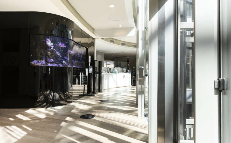 A curved wall incorporates a built-in fish tank, set against soft flooring curves and natural light, creating a calm pause point at the reception where Bloomberg balances professionalism with warmth.