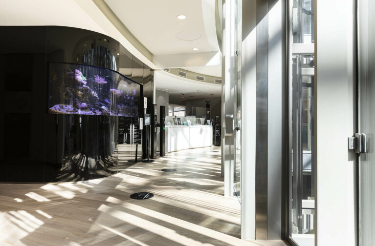 A curved wall incorporates a built-in fish tank, set against soft flooring curves and natural light, creating a calm pause point at the reception where Bloomberg balances professionalism with warmth.