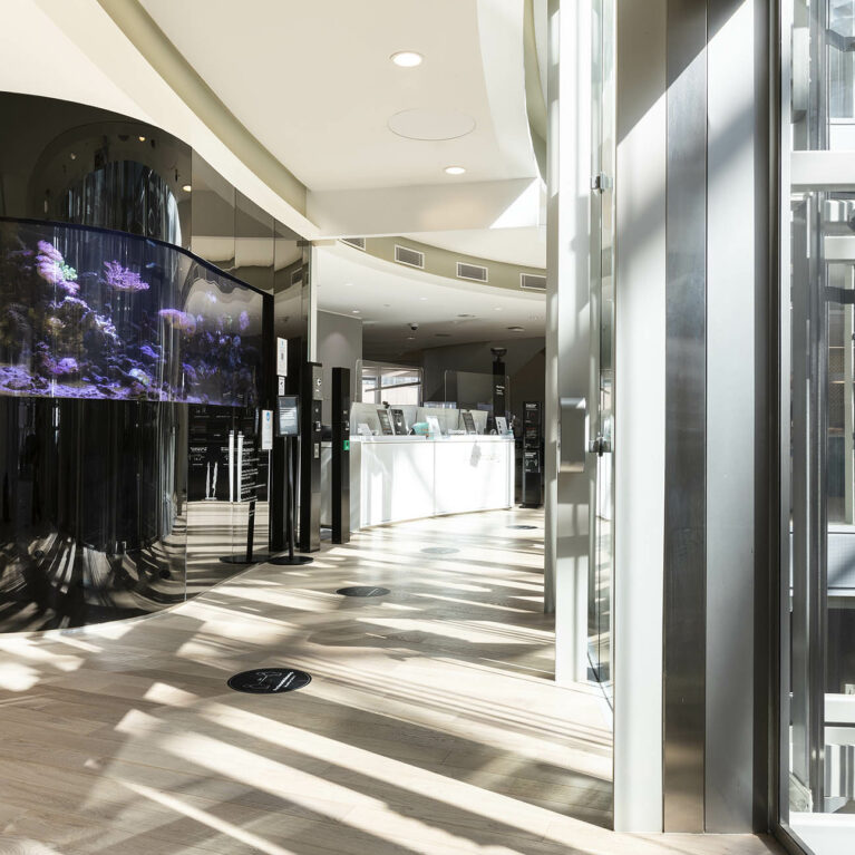 A curved wall incorporates a built-in fish tank, set against soft flooring curves and natural light, creating a calm pause point at the reception where Bloomberg balances professionalism with warmth.