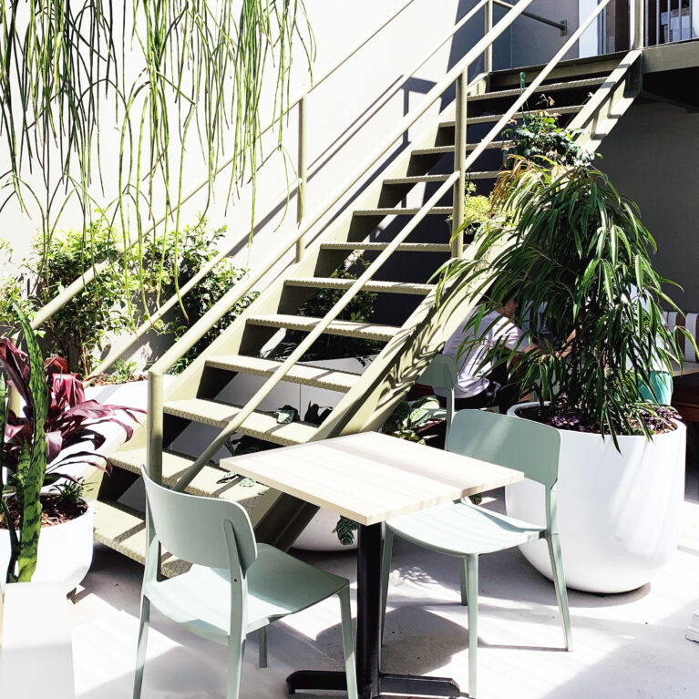 Sofia’s courtyard blends vibrant greenery with minimalist furniture for a fresh, airy feel. Pale wood tables and pastel green chairs sit amid lush plants, offering a serene, urban dining experience.