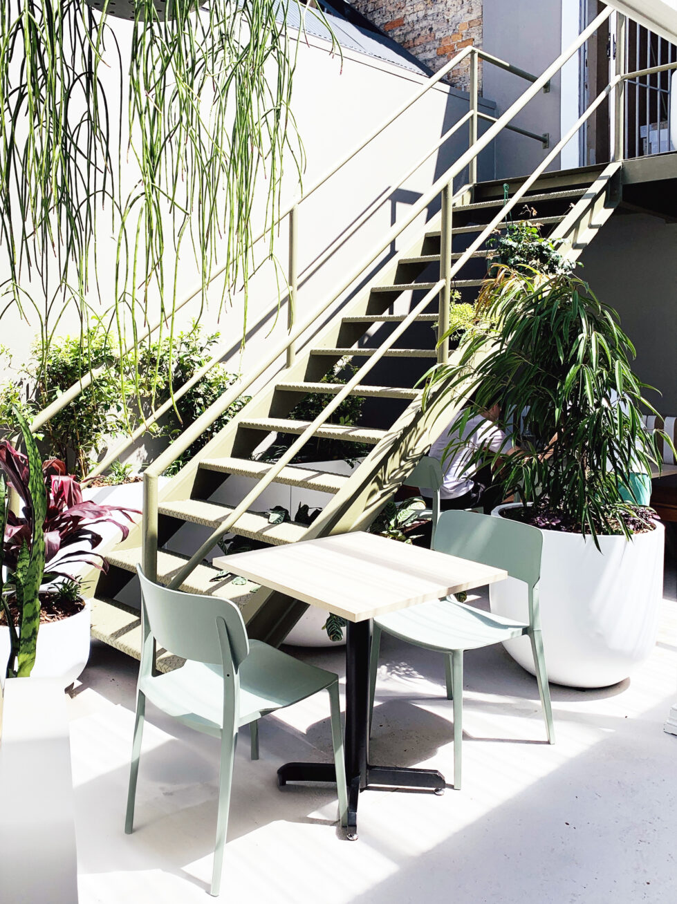 Sofia’s courtyard blends vibrant greenery with minimalist furniture for a fresh, airy feel. Pale wood tables and pastel green chairs sit amid lush plants, offering a serene, urban dining experience.