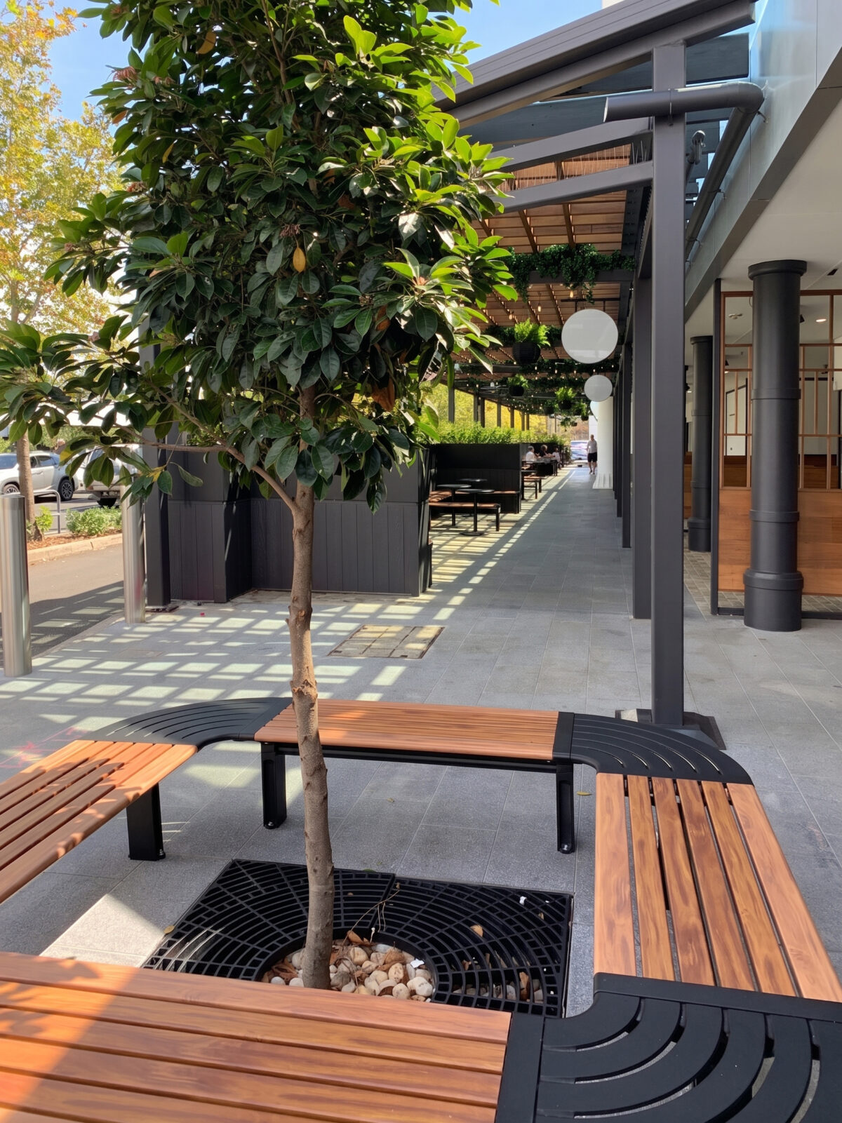 Curved timber bench, tree surround seating, metal tree grate, grey stone paving, structural steel frame, urban forestry, external mall walkway, shadow patterns, precinct landscape architecture, Sydney commercial fitout.