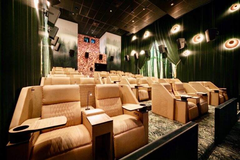 Tiered cinema seating, leather recliner chairs, nature wall mural, integrated lighting, forest theme interior design, architectural acoustics, private lounge cinema, commercial theater fit-out