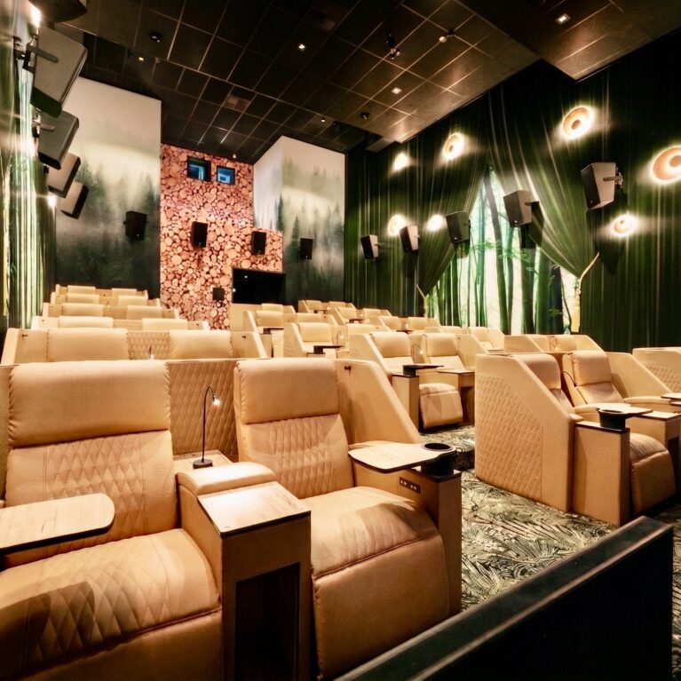 Tiered cinema seating, leather recliner chairs, nature wall mural, integrated lighting, forest theme interior design, architectural acoustics, private lounge cinema, commercial theater fit-out