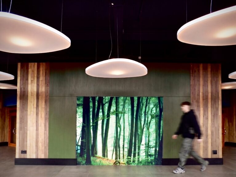 Backlit forest lightbox wall, organic floating disc lights, olive green acoustic panelling, natural timber plank cladding, recessed plinth detail, ceramic floor tiles, architectural transitional foyer, soft diffuse lighting