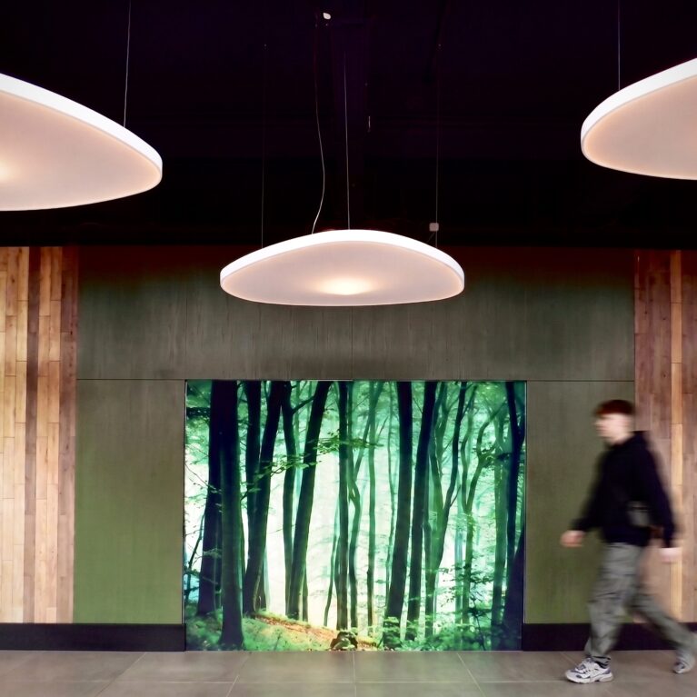 Backlit forest lightbox wall, organic floating disc lights, olive green acoustic panelling, natural timber plank cladding, recessed plinth detail, ceramic floor tiles, architectural transitional foyer, soft diffuse lighting