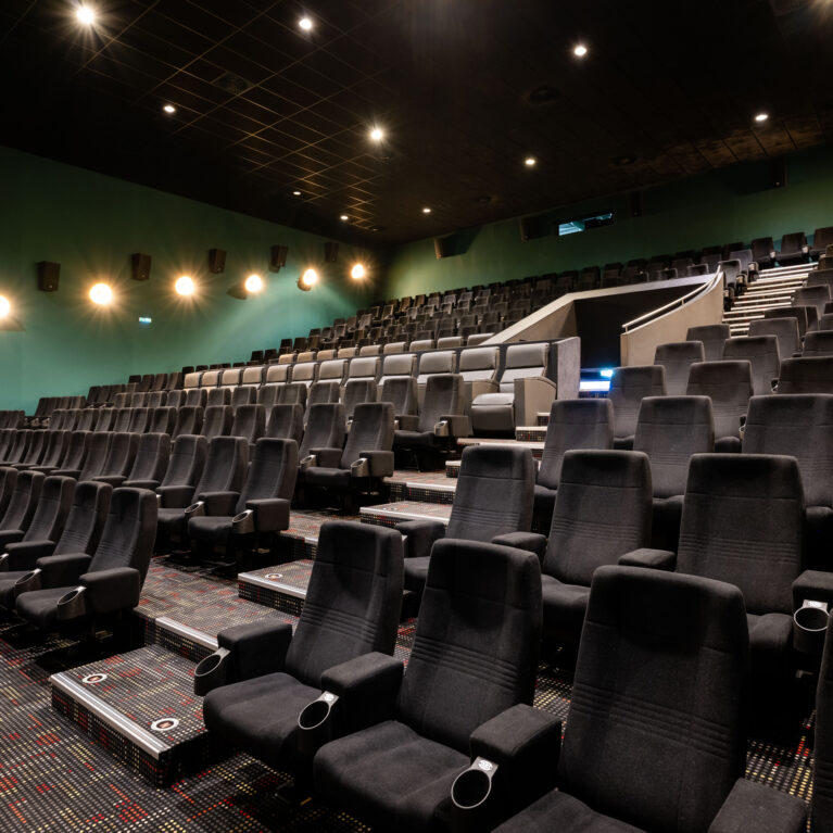 Cinema auditorium seating, raked seating tier, acoustic wall panels, low-voltage aisle lighting, charcoal fabric upholstery, commercial cinema carpet, surround sound speakers, wall sconce lighting, stepped riser layout, entertainment venue design