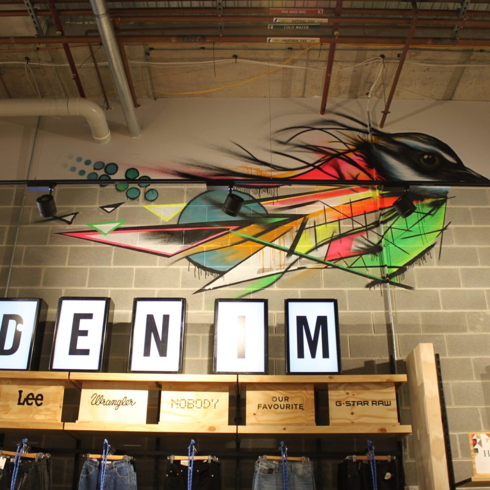 Glue Store Wollongong Design Clarity Design Clarity