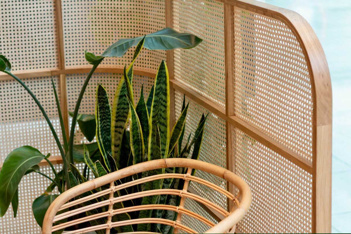 The privacy screen adds a layer of intimacy to the waiting area while maintaining visual lightness. Its cane webbing panels framed in natural wood create a textured, handcrafted look that complements the rattan seating and overall relaxed aesthetic.