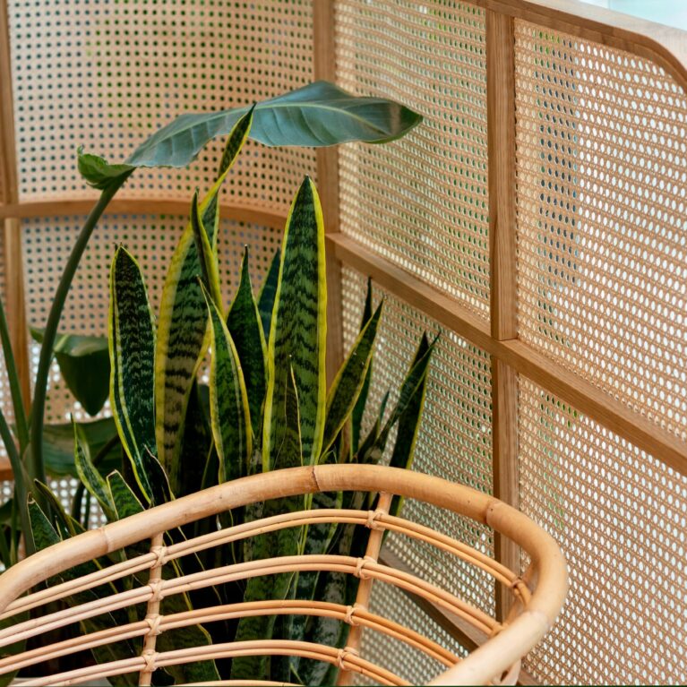The privacy screen adds a layer of intimacy to the waiting area while maintaining visual lightness. Its cane webbing panels framed in natural wood create a textured, handcrafted look that complements the rattan seating and overall relaxed aesthetic.