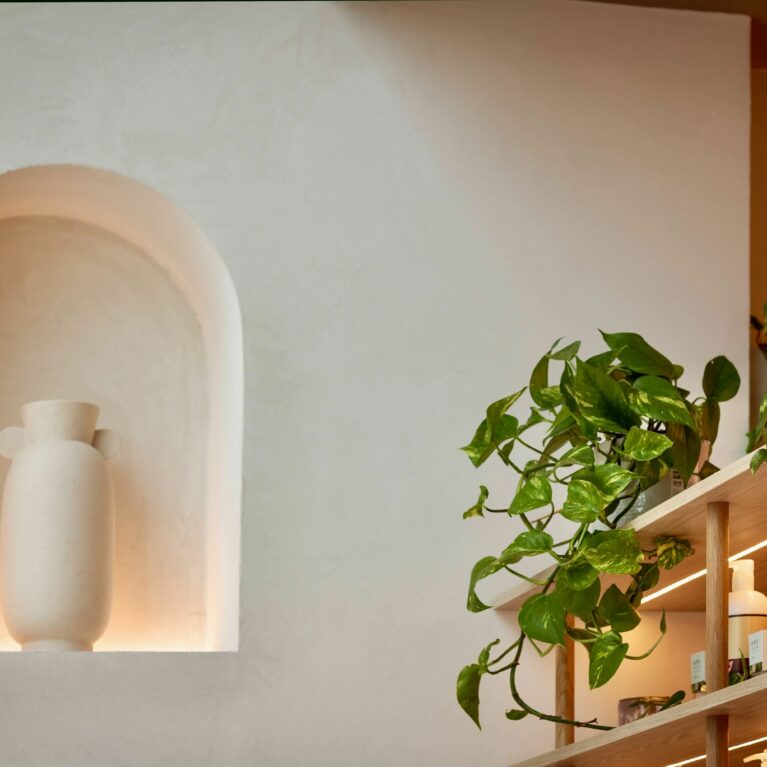 A softly illuminated alcove brings sculptural depth to the wall, showcasing a minimalist ceramic vase. Paired with trailing greenery from the nearby shelving, it introduces organic warmth and creates a serene, gallery-like focal point within the space.