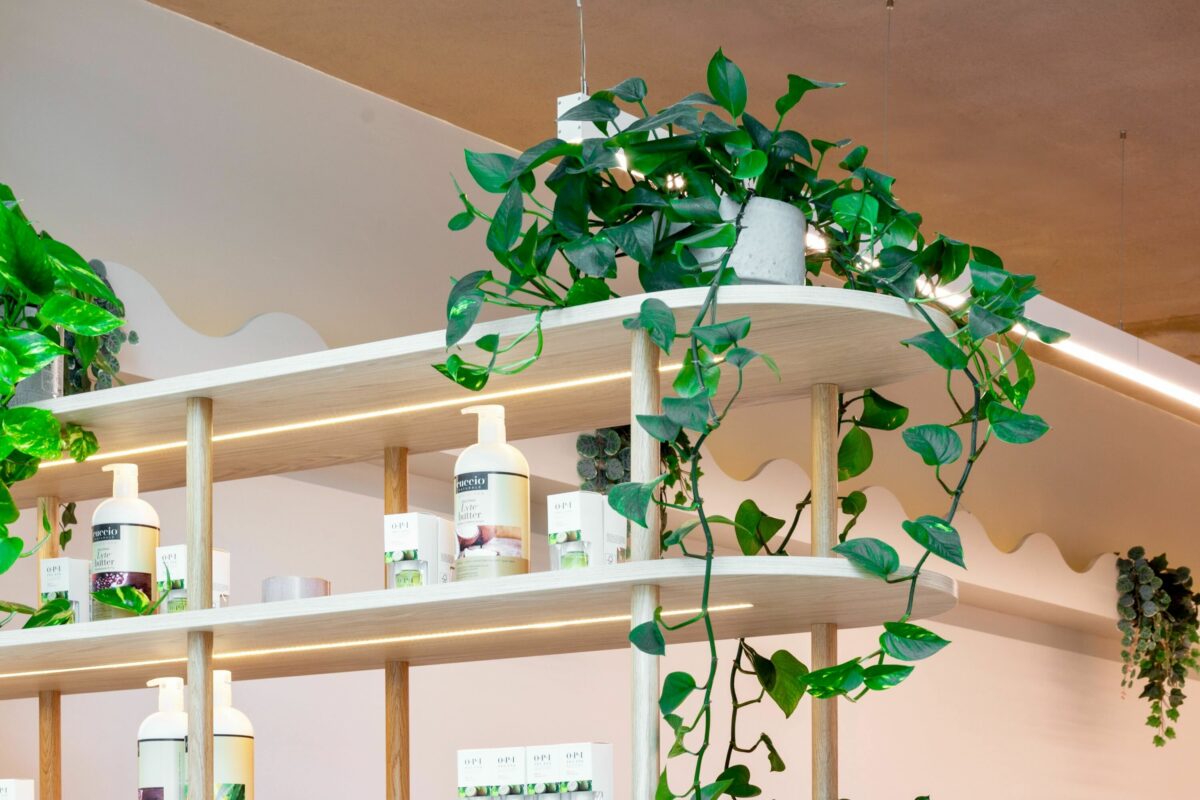 The shelving near the entrance doubles as a subtle room divider, adorned with trailing greenery and softly lit to enhance the display of beauty products. It creates a warm, welcoming first impression while maintaining visual connection with the rest of the salon.