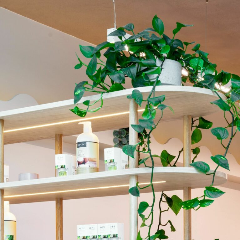The shelving near the entrance doubles as a subtle room divider, adorned with trailing greenery and softly lit to enhance the display of beauty products. It creates a warm, welcoming first impression while maintaining visual connection with the rest of the salon.
