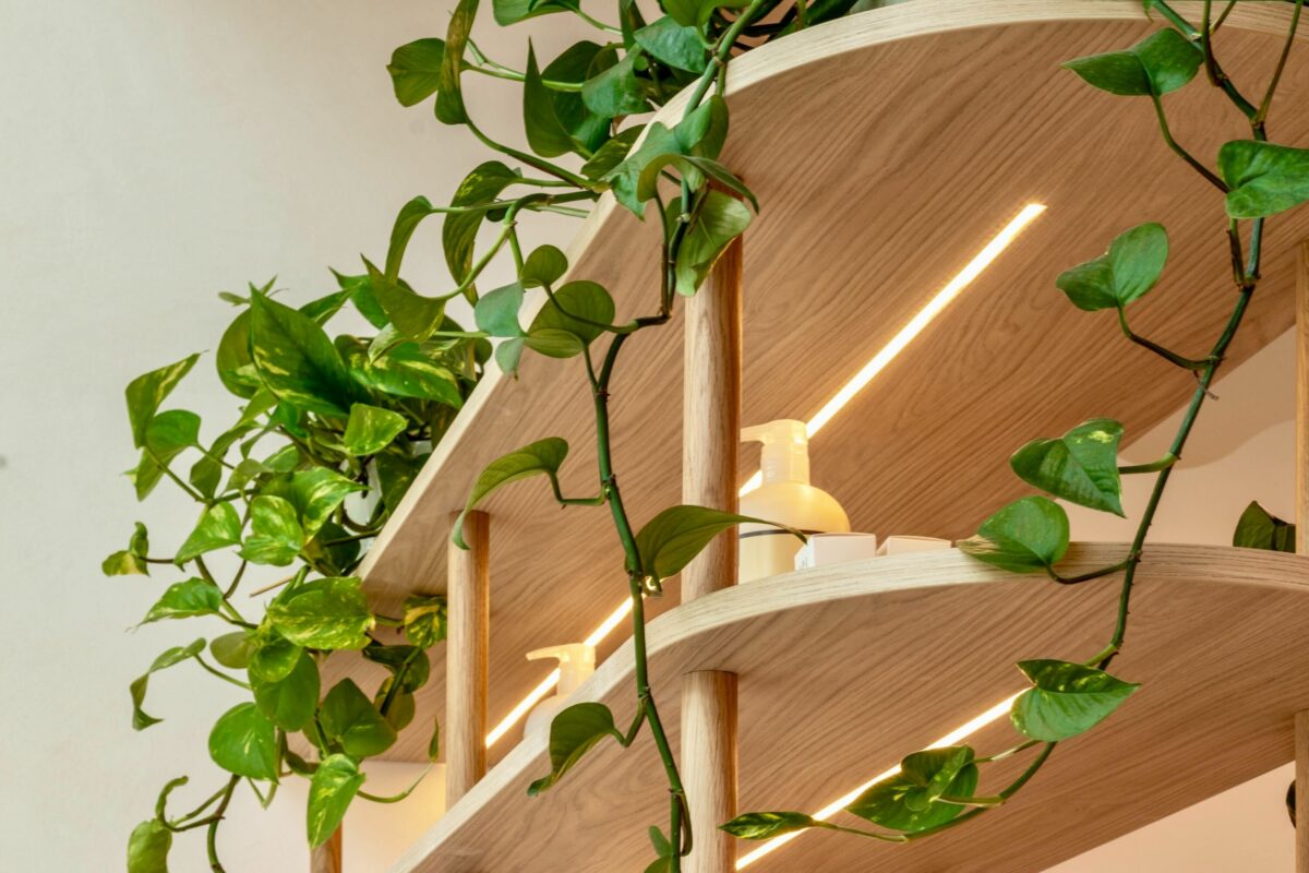 Subtle integrated lighting elevates the shelving, highlighting the display items while emphasizing the natural grain of the timber. This built-in illumination adds warmth and depth, balancing functionality with an inviting, boutique-like ambiance that enhances the overall salon experience.