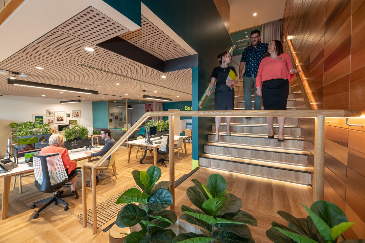 Modern staircase at People’s Choice bank, connecting the lower and upper levels with natural wood finishes, greenery, and LED-lit steps.