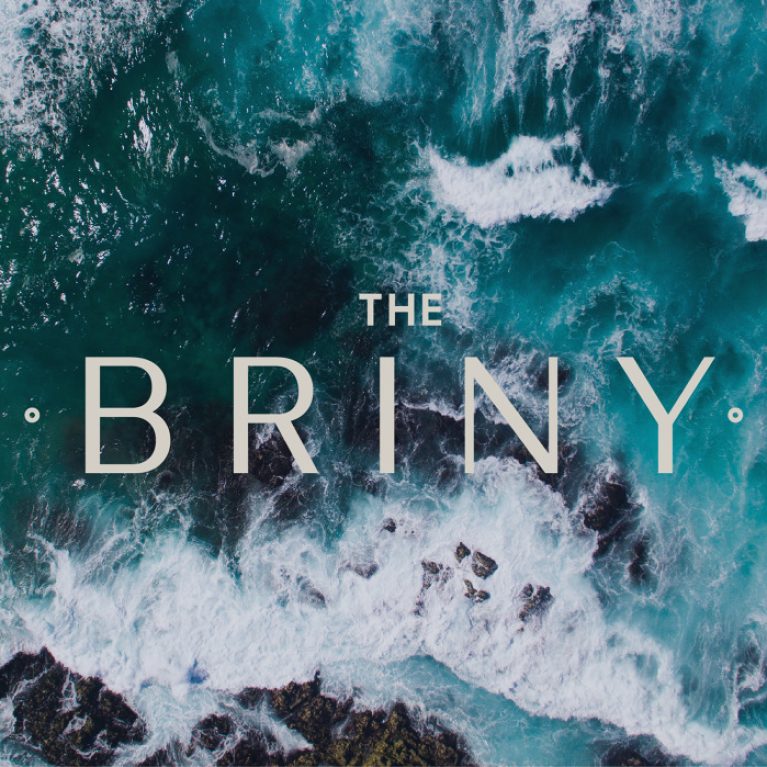 The Briny