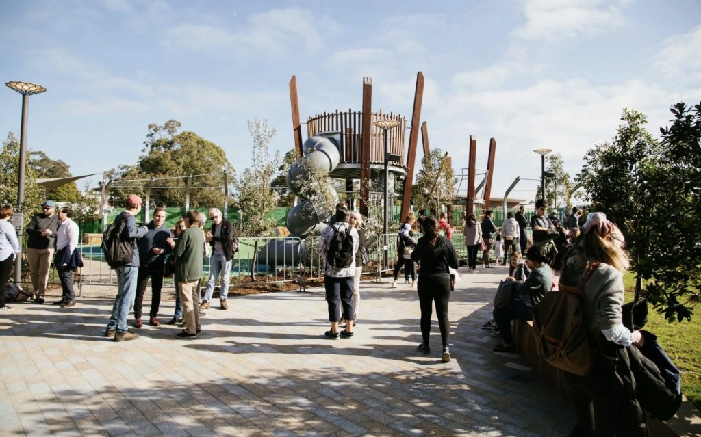 The Canopy Lane Cove Design Clarity Design Clarity