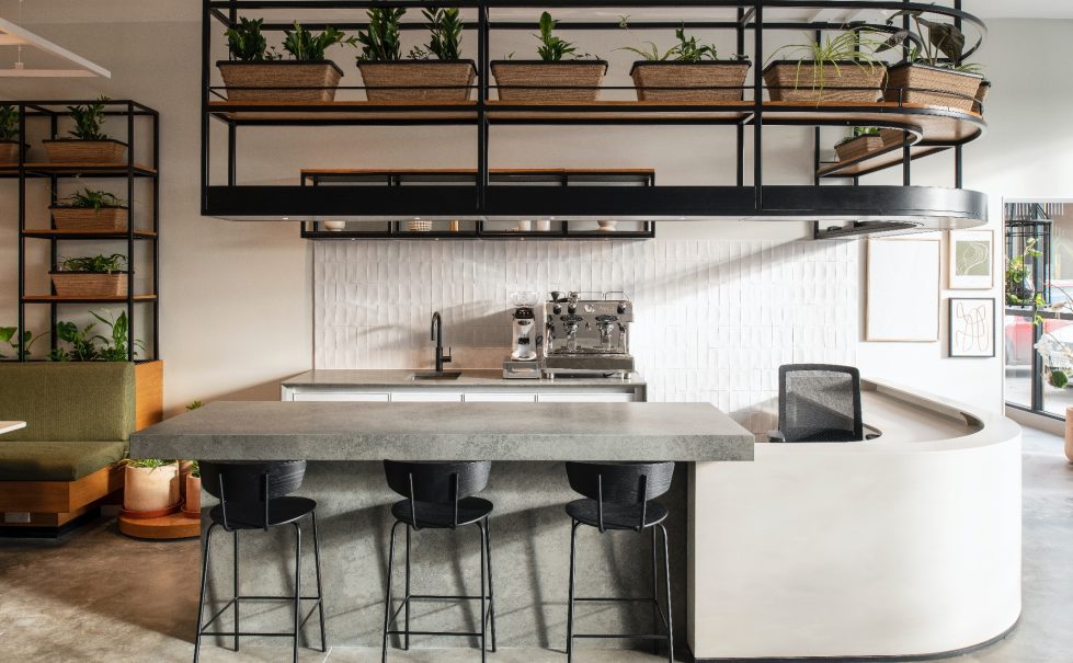 The café bar in The Mason’s Yard showroom, featuring a sleek concrete countertop, tiered plant displays, and minimalist seating for a relaxed, natural atmosphere.