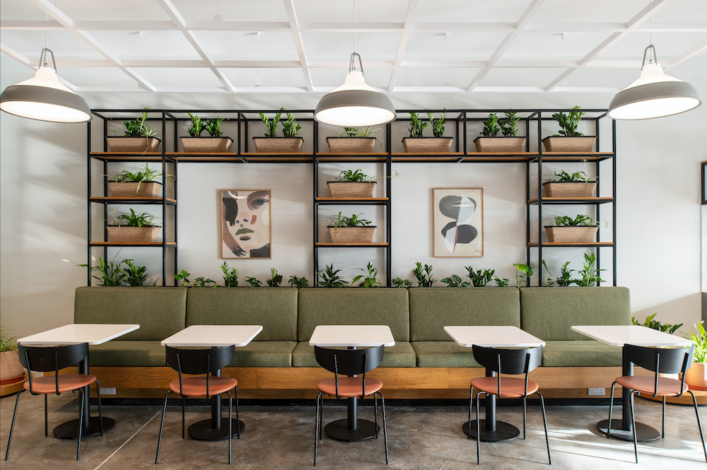 The breakout area at The Mason’s Yard, featuring sage-green seating, lush greenery, and a relaxed, contemporary ambiance.
