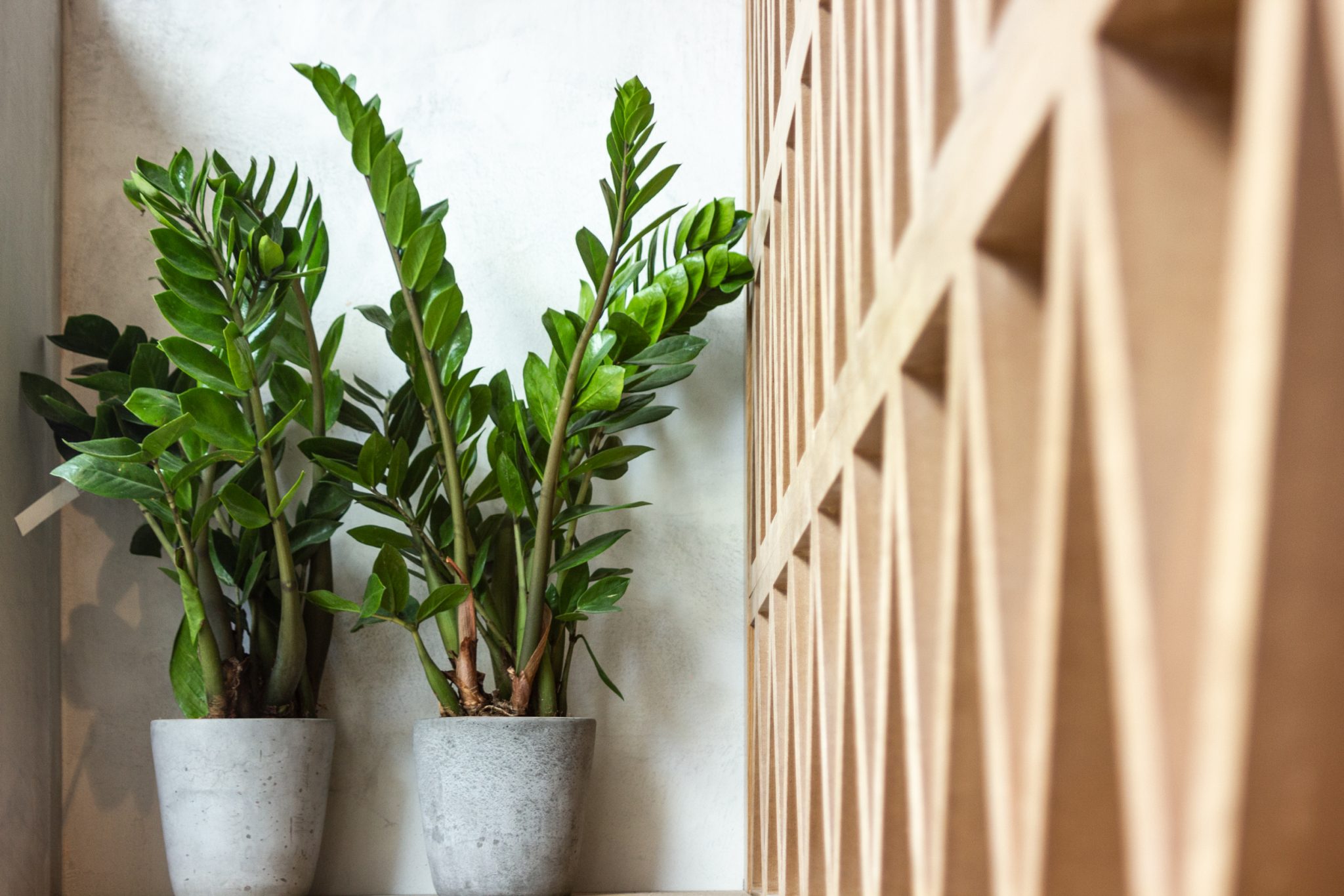 The Nail Spa London Design Clarity Design Clarity