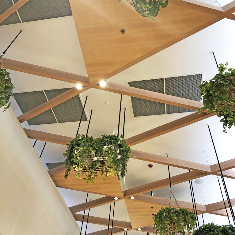 design clarity, hanging plants from ceiling, timber structure, baskets with plants, featured design, cost-effective solution, nice interior for high ceilings